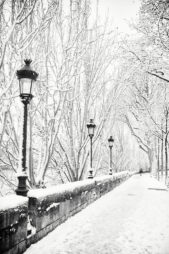 20180207_5H1A0068_MOD_BW_FRAME_resize