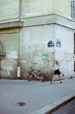 2019-08-10-Canon-EOS-1V-Kodak-Ektachrome_24_MOD_FRAME_resize