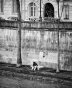 20120107-3D0T6736_MOD_BW_FRAME_resize