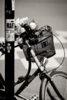 20151024-5H1A7768_MOD_BW_FRAME_resize
