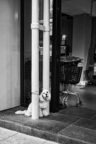 20200912-5H1A4025_MOD_BW_FRAME_resize