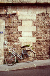20240406-Canon-EOS1V-CineStill400D_02_MOD_FRAME_resize